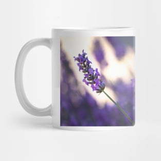 Close-up of lavender blossoms Mug